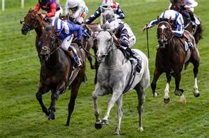 haydock betting|Haydock Tips, Odds, & Racecards .